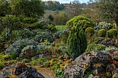 DODDINGTON PLACE, KENT: APRIL, SPRING, THE ROCK GARDEN, BLUEBELLS, ROSEMARY, EUPHORBIA, CHOISYA AZTEC PEARL