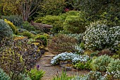 DODDINGTON PLACE, KENT: APRIL, SPRING, THE ROCK GARDEN, IRISES, CHOISYA AZTEC PEARL, FALLEN LOG OVER PATH