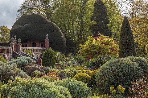 DODDINGTON_PLACE_KENT_APRIL_SPRING_THE_ROCK_GARDEN_BALLOTA_WALLS_ACERS_MAPLES