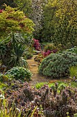 DODDINGTON PLACE, KENT: APRIL, SPRING, THE ROCK GARDEN, MAPLES, ACERS, BERGENIA CORDIFOLIA OVERTURE