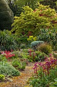 DODDINGTON PLACE, KENT: APRIL, SPRING, THE ROCK GARDEN, MAPLES, BERGENIA CORDIFOLIA OVERTURE, PATH