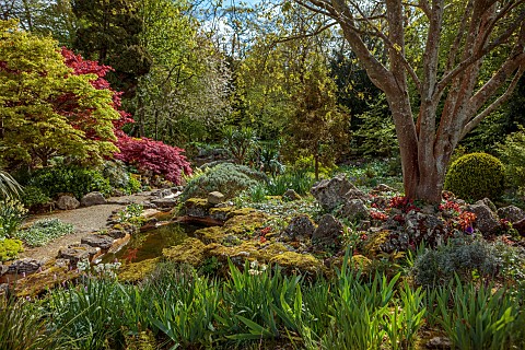 DODDINGTON_PLACE_KENT_APRIL_SPRING_THE_ROCK_GARDEN_ACERS_STREAM_ROCKS