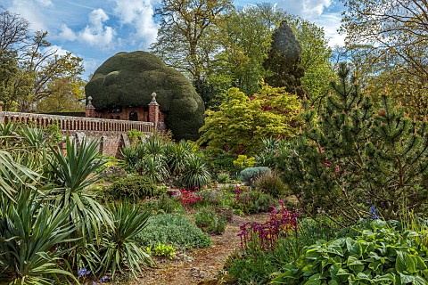 DODDINGTON_PLACE_KENT_APRIL_SPRING_THE_ROCK_GARDEN_YUCCAS_MAPLES_BERGENIA_CORDIFOLIA_OVERTURE_WALL