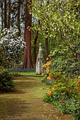 DODDINGTON PLACE, KENT: THE WOODLAND, PATH, ORANGE AZALEAS, CORNUS EDDIES WHITE WONDER, THE HANDKERCHIEF TREE, DAVIDIA INVOLUCRATA VAR. VILMORINIANA