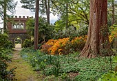 DODDINGTON PLACE, KENT: THE WOODLAND, PATH, ORANGE AZALEAS, TREES, FOLLY, FOLLIES