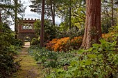 DODDINGTON PLACE, KENT: THE WOODLAND, PATH, ORANGE AZALEAS, TREES, FOLLY, FOLLIES
