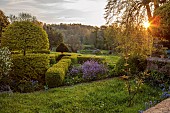 CAISSON GARDEN, SOMERSET: DAWN, SUNRISE, CLIPPED BOX PARTERRE AT FRONT OF THE HOUSE WITH COUNTRYSIDE BEYOND, BORROWED LANDSCAPE, BUXUS SEMPERVIRENS, CARPINUS BETULA