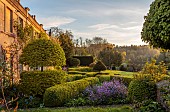 CAISSON GARDEN, SOMERSET: DAWN, SUNRISE, CLIPPED BOX PARTERRE AT FRONT OF THE HOUSE WITH COUNTRYSIDE BEYOND, BORROWED LANDSCAPE, BUXUS SEMPERVIRENS, CARPINUS BETULA