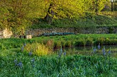 CAISSON GARDEN, SOMERSET: ROUND POND IN FRONT OF THE HOUSE, APRIL, SPRING, WATER, POOL, BENCHES, SEATS