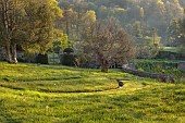 CAISSON GARDEN, SOMERSET: VIEW TO WOODED LANDSCAPE BEYOND WITH RILL IN FOREGROUND, LAWN, SLOPE, BORROWED LANDSCAPE