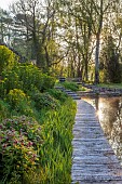 CAISSON GARDEN, SOMERSET: THE POUND, POND WITH ENGLISH OAK BOARDWALK, EUPHORBIA PALUSTRIS, LAMIUM ORVALA