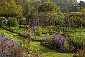 CAISSON GARDEN, SOMERSET: THE WALLED GARDEN AND ORCHARD, APRIL, SPRING: ORCHARD, BLOSSOM, TULIPS, MOWN PATH THROUGH LAWN, ORNAMENTAL VEGETABLE AND CUT FLOWER BEDS