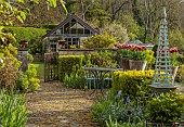 CAISSON GARDEN, SOMERSET: TERRACE WITH TABLE AND CHAIRS, EUPHORBIA, BLUE TRIPODS, GATE, WALL WITH TERRACOTTA CONTAINERS PLANTED WITH TULIP GAVOTA