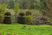 CAISSON GARDEN, SOMERSET: LAWN, WALL, GATE, SEAT, BENCH, CLIPPED TOPIARY YEW