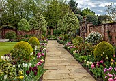 MORTON HALL GARDENS, WORCESTERSHIRE: APRIL, SPRING, BORDERS, TULIPS, SOUTH GARDEN, PYRUS SILVER SAILS, LAWN