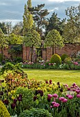 MORTON HALL GARDENS, WORCESTERSHIRE: APRIL, SPRING, BORDERS, TULIPS, SOUTH GARDEN, PYRUS SILVER SAILS, LAWN