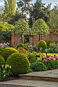MORTON HALL GARDENS, WORCESTERSHIRE: APRIL, SPRING, BORDERS, TULIPS, SOUTH GARDEN, PYRUS SILVER SAILS, LAWN, BOX BALLS