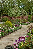 MORTON HALL GARDENS, WORCESTERSHIRE: APRIL, SPRING, BORDERS, TULIPS, SOUTH GARDEN, PYRUS SILVER SAILS, LAWN