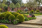 MORTON HALL GARDENS, WORCESTERSHIRE: APRIL, SPRING, BORDERS, TULIPS, SOUTH GARDEN, PYRUS SILVER SAILS, LAWN, CLIPPED BOX BALLS, WALLED GARDEN