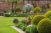 MORTON HALL GARDENS, WORCESTERSHIRE: APRIL, SPRING, BORDERS, TULIPS, SOUTH GARDEN, PYRUS SILVER SAILS, LAWN, BOX BALLS, CHOISYA