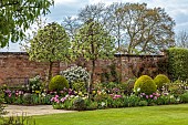 MORTON HALL GARDENS, WORCESTERSHIRE: APRIL, SPRING, BORDERS, TULIPS, SOUTH GARDEN, PYRUS SILVER SAILS, LAWN, BOX BALLS, CHOISYA, WALLED GARDEN