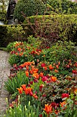 MORTON HALL GARDENS, WORCESTERSHIRE: APRIL, SPRING, BORDERS, TULIPS, KITCHEN GARDEN, BORDER, ORANGE, RED, TULIPS, TULIPA BALLERINA, TULIPA RED SIGNAL, TULIPA FIERY CLUB