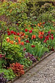 MORTON HALL GARDENS, WORCESTERSHIRE: APRIL, SPRING, BORDERS, TULIPS, KITCHEN GARDEN, BORDER, ORANGE, RED, TULIPS, TULIPA BALLERINA, TULIPA RED SIGNAL, TULIPA FIERY CLUB