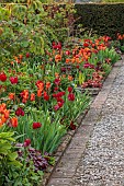 MORTON HALL GARDENS, WORCESTERSHIRE: APRIL, SPRING, BORDERS, TULIPS, KITCHEN GARDEN, BORDER, ORANGE, RED, TULIPS, TULIPA BALLERINA, TULIPA RED SIGNAL, TULIPA FIERY CLUB