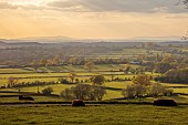 MORTON HALL, WORCESTERSHIRE: BORDER, SPRING, EVENING LIGHT, VIEW WEST TO ABBERLEY HILLS, FIELDS, LANDSCAPE