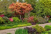 RHS GARDEN, WISLEY, SURREY, WOODLAND IN SPRING, APRIL BESIDE THE ROCK GARDEN