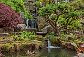 RHS GARDEN, WISLEY, SURREY, SPRING, APRIL WATERFALL IN THE ROCK GARDEN