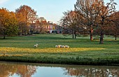 COTTESBROOKE HALL AND GARDENS, NORTHAMPTONSHIRE: SPRING, APRIL, VIEW OF PARKLAND, LAKE, HALL FROM THE MITCHELL BRIDGE, SUNRISE