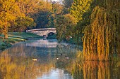 COTTESBROOKE HALL AND GARDENS, NORTHAMPTONSHIRE: SPRING, APRIL, VIEW OF PARKLAND, LAKE, BRIDGE, FROM THE MITCHELL BRIDGE, SUNRISE