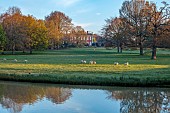 COTTESBROOKE HALL AND GARDENS, NORTHAMPTONSHIRE: SPRING, APRIL, VIEW OF PARKLAND, LAKE, SHEEP, HALL, FROM THE MITCHELL BRIDGE, SUNRISE