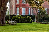 COTTESBROOKE HALL AND GARDENS, NORTHAMPTONSHIRE: SPRING, APRIL, WOODEN BENCH, SEAT, CEDAR TREE, CLIPPED TOPIARY