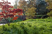COTTESBROOKE HALL AND GARDENS, NORTHAMPTONSHIRE: SPRING, APRIL, THE WILD GARDEN, ACER, MAPLE, BRIDGE, CAMASSIAS