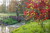 COTTESBROOKE HALL AND GARDENS, NORTHAMPTONSHIRE: SPRING, APRIL, THE WILD GARDEN, ACER, MAPLE, BRIDGE, CAMASSIAS