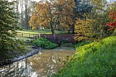 COTTESBROOKE HALL AND GARDENS, NORTHAMPTONSHIRE: SPRING, APRIL, THE WILD GARDEN, BROOK, STREAM. ACER, MAPLE, BRIDGE