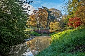 COTTESBROOKE HALL AND GARDENS, NORTHAMPTONSHIRE: SPRING, APRIL, THE WILD GARDEN, BROOK, STREAM. ACER, MAPLE, BRIDGE
