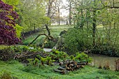 COTTESBROOKE HALL AND GARDENS, NORTHAMPTONSHIRE: SPRING, APRIL, THE WILD GARDEN, BROOK, STREAM. ACER, MAPLE, FALLEN TREE, GUNNERA MANICATA
