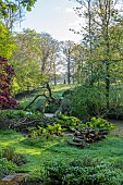 COTTESBROOKE HALL AND GARDENS, NORTHAMPTONSHIRE: SPRING, APRIL, THE WILD GARDEN, BROOK, STREAM. ACER, MAPLE, FALLEN TREE, GUNNERA MANICATA