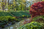 COTTESBROOKE HALL AND GARDENS, NORTHAMPTONSHIRE: SPRING, APRIL, THE WILD GARDEN, BROOK, STREAM. ACER, MAPLE, GUNNERA MANICATA