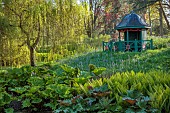 COTTESBROOKE HALL AND GARDENS, NORTHAMPTONSHIRE: SPRING, APRIL, THE WILD GARDEN, BROOK, STREAM. GUNNERA MANICATA, WOODEN SUMMERHOUSE, MATTEUCIA STRUTHIOPTERIS
