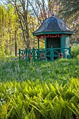 COTTESBROOKE HALL AND GARDENS, NORTHAMPTONSHIRE: SPRING, APRIL, THE WILD GARDEN, WOODEN SUMMERHOUSE, MATTEUCIA STRUTHIOPTERIS