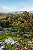 TRESCO ABBEY GARDEN, ISLES OF SCILLY: THE OLD ABBEY RUINS SEEN FROM THE TOP TERRACE, MAY, SPRING
