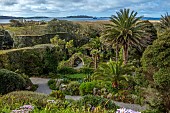 TRESCO ABBEY GARDEN, ISLES OF SCILLY: THE OLD ABBEY RUINS SEEN FROM THE TOP TERRACE, MAY, SPRING