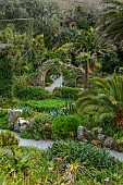 TRESCO ABBEY GARDEN, ISLES OF SCILLY: THE OLD ABBEY RUINS SEEN FROM THE TOP TERRACE, MAY, SPRING