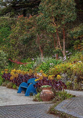 TRESCO_ABBEY_GARDEN_ISLES_OF_SCILLY_MAY_SPRING_THE_SHELL_HOUSE_TERRACE_BLUE_WOODEN_BENCH_SEAT_AEONIU