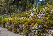 TRESCO ABBEY GARDEN, ISLES OF SCILLY: MAY, SPRING, THE SHELL HOUSE TERRACE, WALL, AGAVE, SENECIO GLASTIFOLIUS