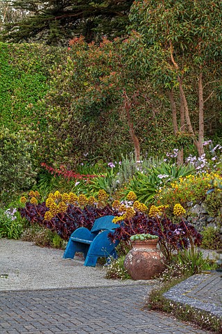 TRESCO_ABBEY_GARDEN_ISLES_OF_SCILLY_MAY_SPRING_THE_SHELL_HOUSE_TERRACE_BLUE_WOODEN_BENCH_SEAT_AEONIU